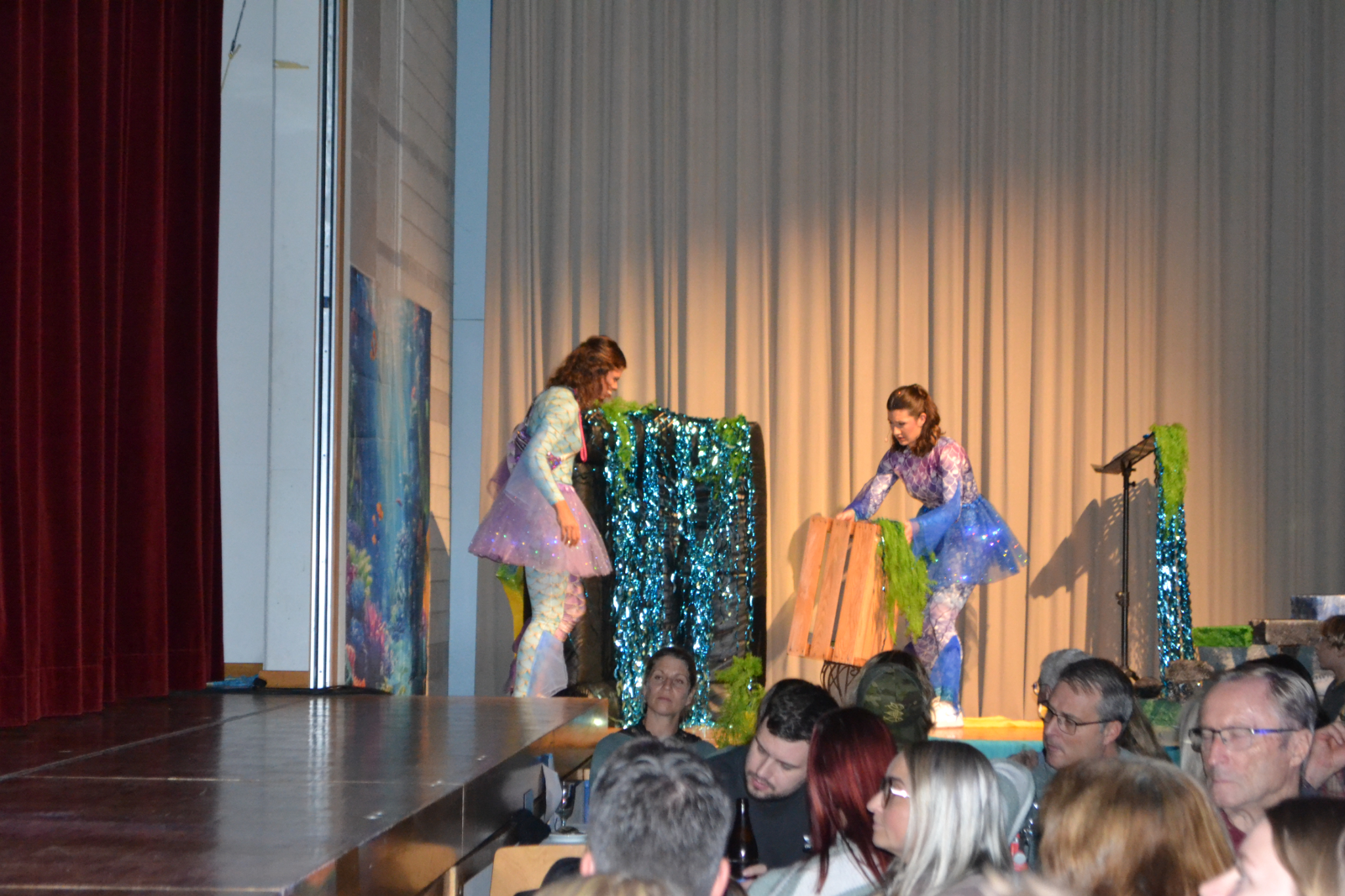 Bild2 (37)